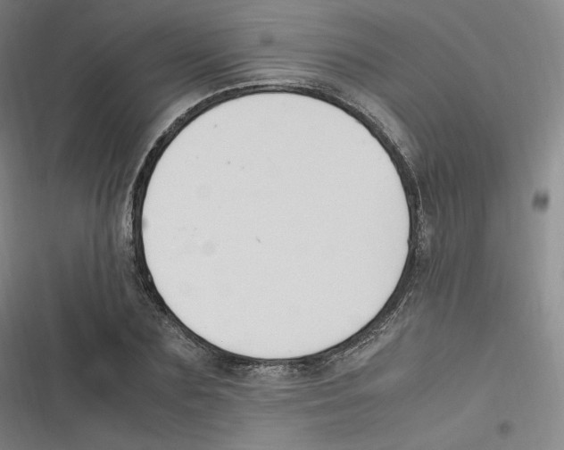 X0000116620883201001081229