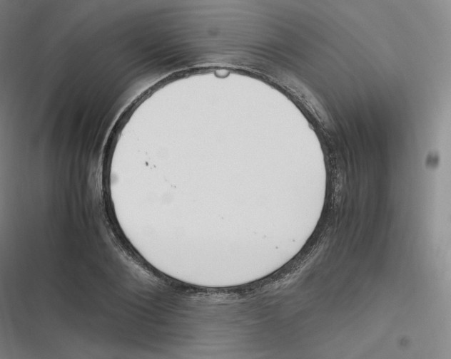 X0000116620884201001081229