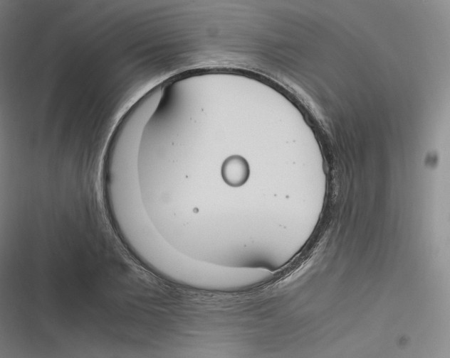 X0000116620885201001081229