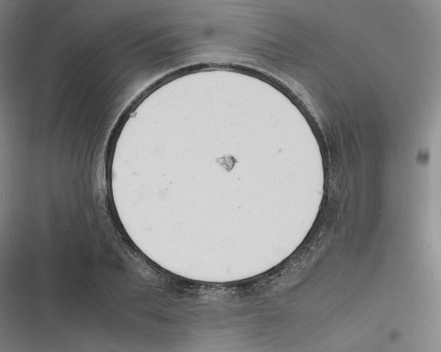 X0000116620887201001081229