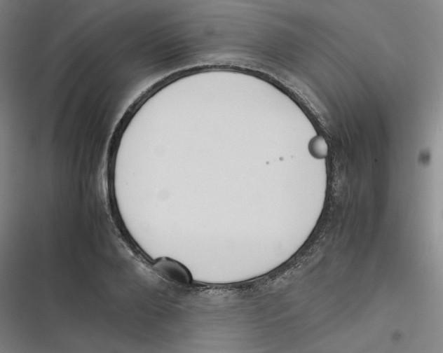 X0000116620888201001081229