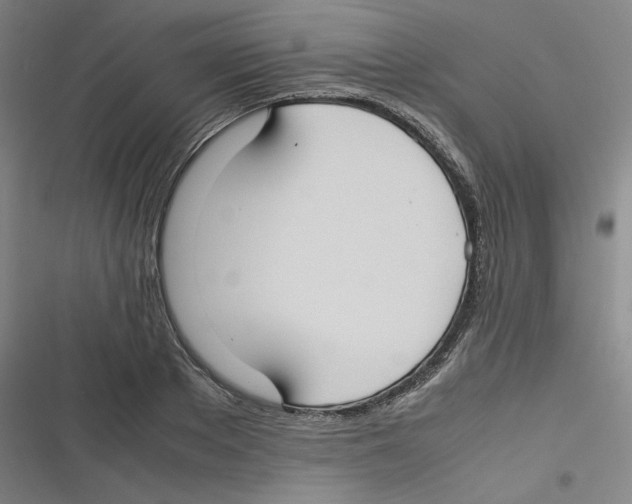 X0000116620889201001081229