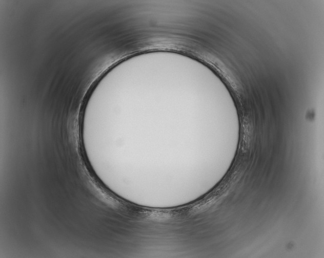 X0000116620890201001081229