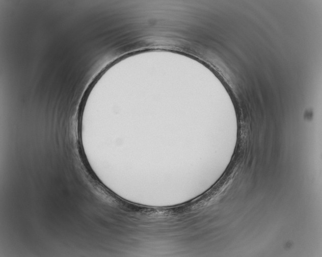 X0000116620891201001081229