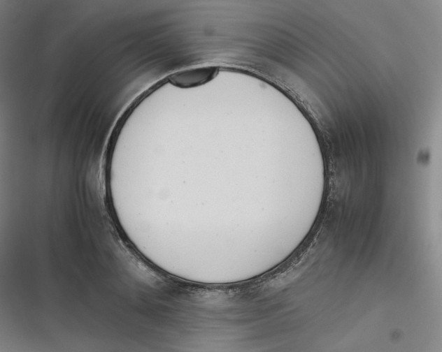 X0000116620892201001081229