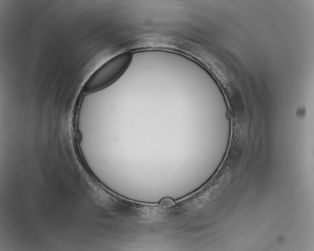 X0000116620893201001081229