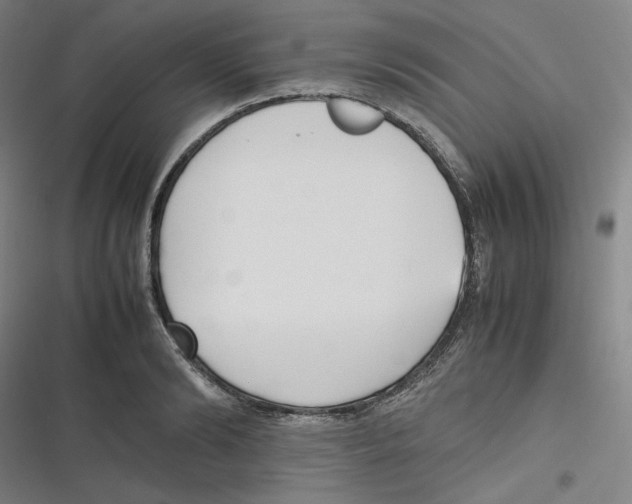 X0000116620894201001081229