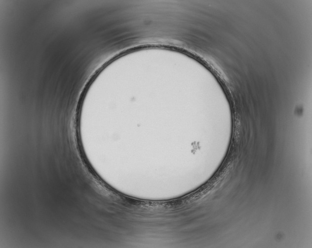 X0000116620895201001081229