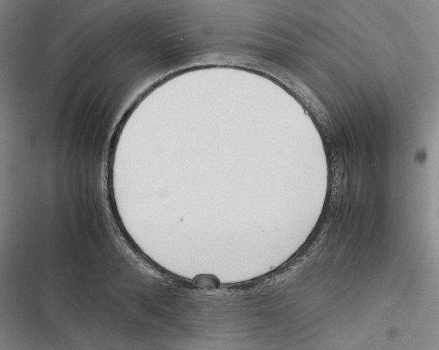 X0000116620896201001081229