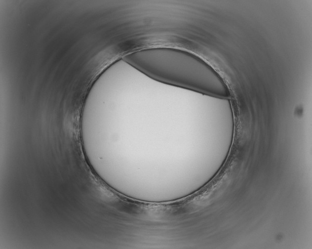 X0000116620897201001081229