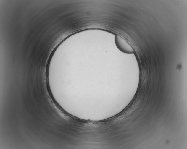 X0000116620898201001081229