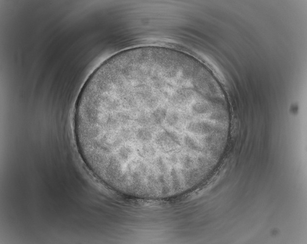 X0000116620899201001081229