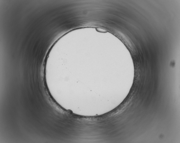 X0000116620900201001081229