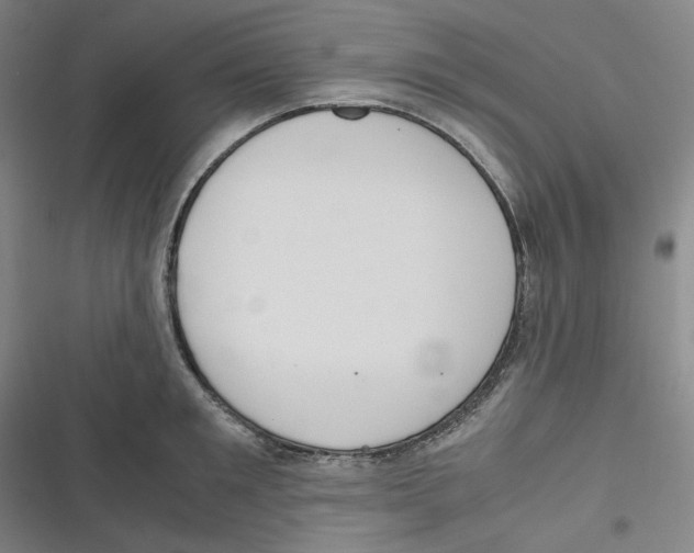 X0000116620901201001081229