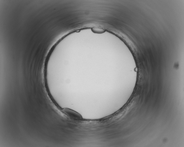 X0000116620902201001081229