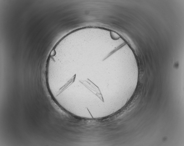 X0000116620903201001081229