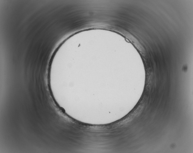 X0000116620904201001081229