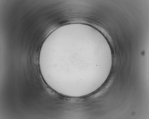 X0000116620905201001081229