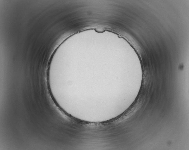 X0000116620906201001081229