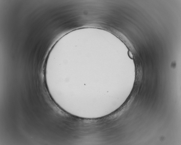 X0000116620908201001081229