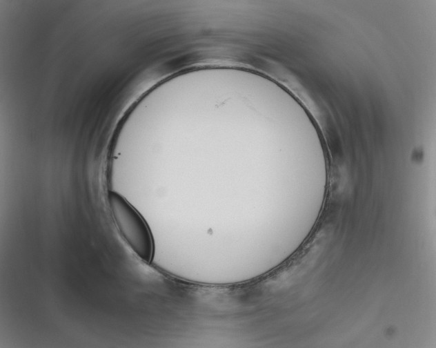 X0000116620909201001081229