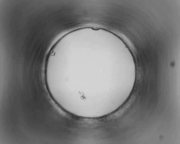 X0000116620910201001081229