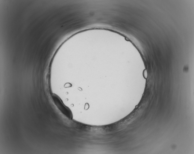 X0000116620911201001081229