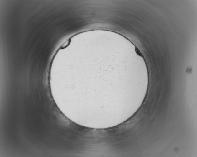 X0000116620912201001081229