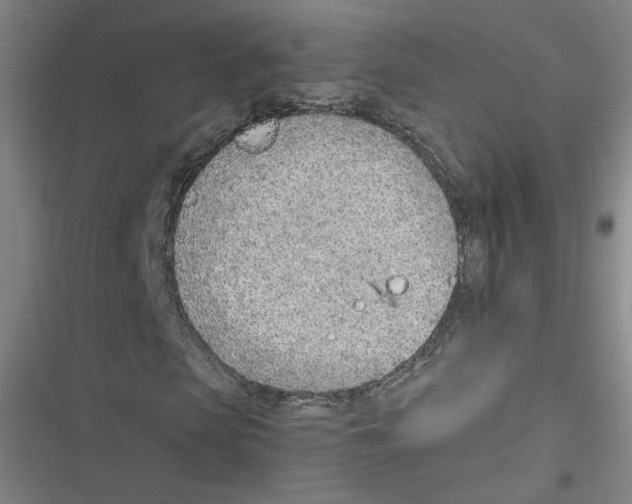 X0000116620913201001081228