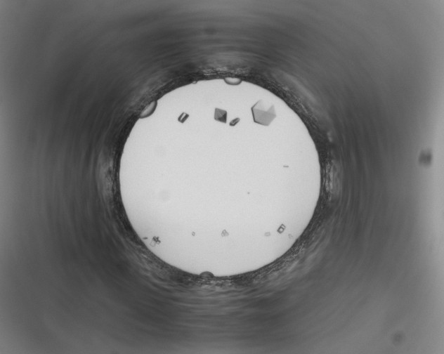 X0000116620915201001081228