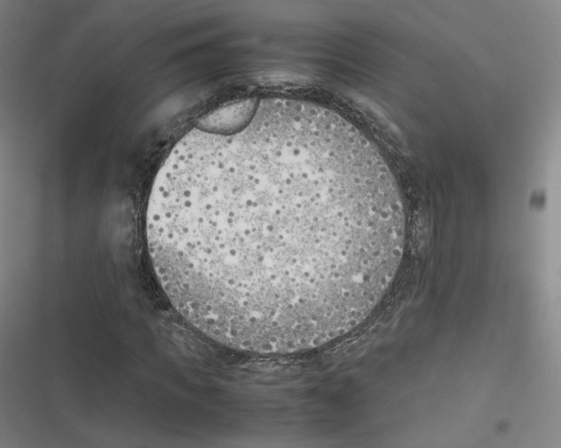 X0000116620917201001081228