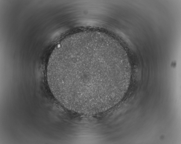 X0000116620918201001081228