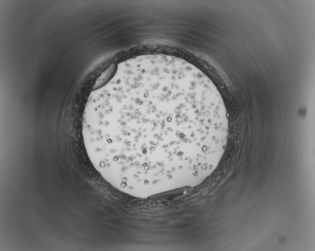 X0000116620919201001081228