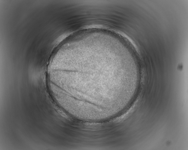 X0000116620921201001081228