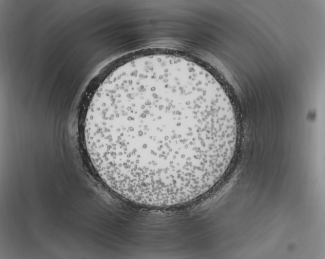 X0000116620923201001081228