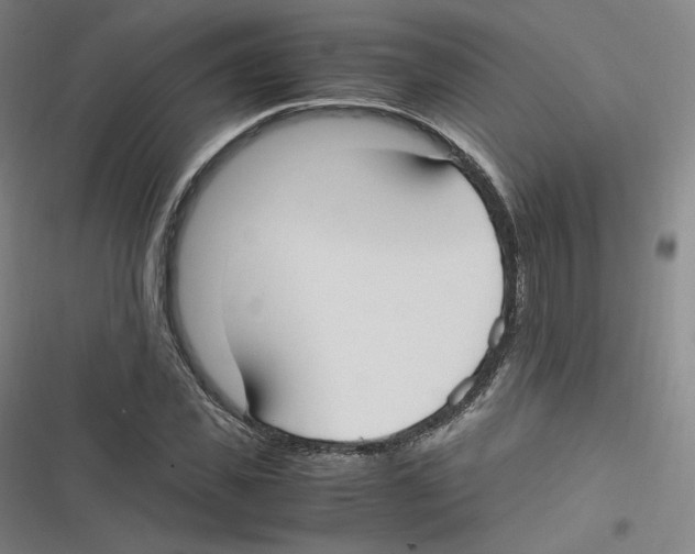 X0000116620925201001081228