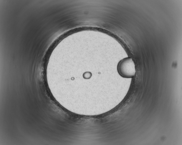 X0000116620926201001081228