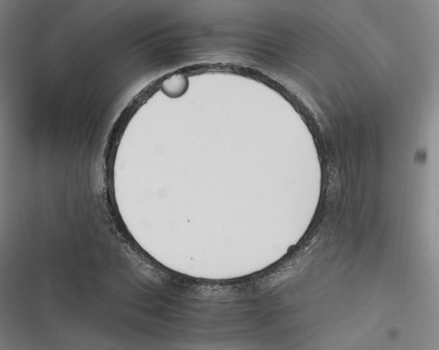 X0000116620927201001081228