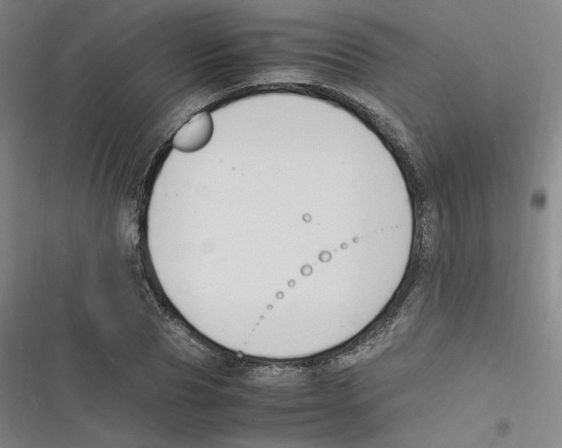 X0000116620929201001081228