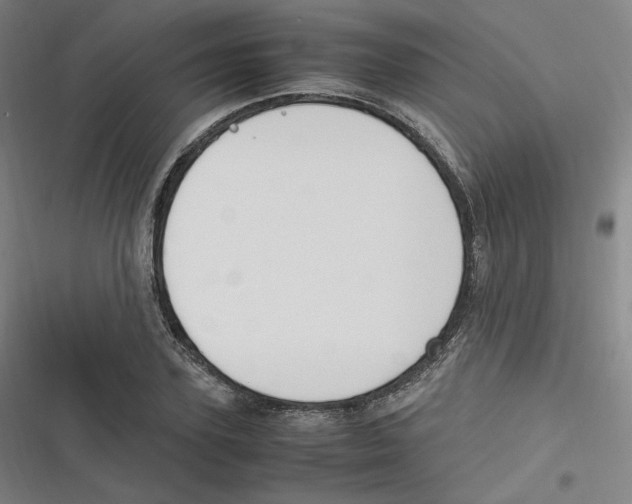 X0000116620931201001081228