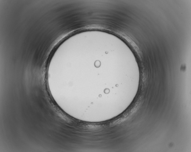 X0000116620933201001081228