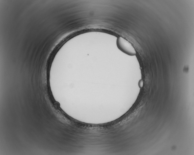 X0000116620934201001081228