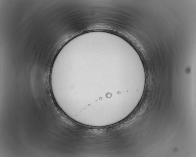 X0000116620937201001081229