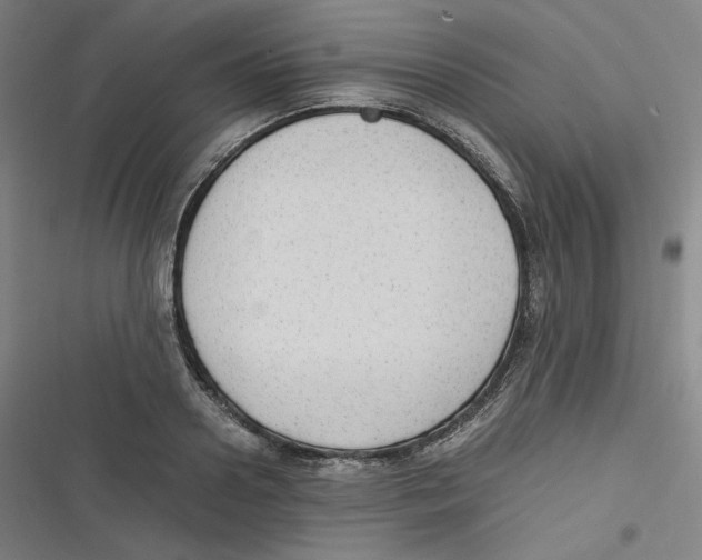 X0000116620938201001081229