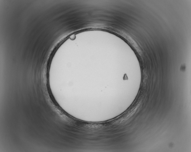 X0000116620939201001081229