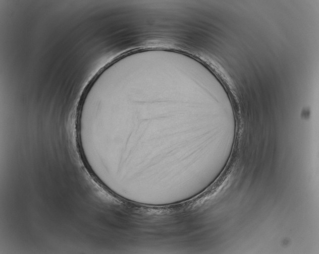 X0000116620941201001081229