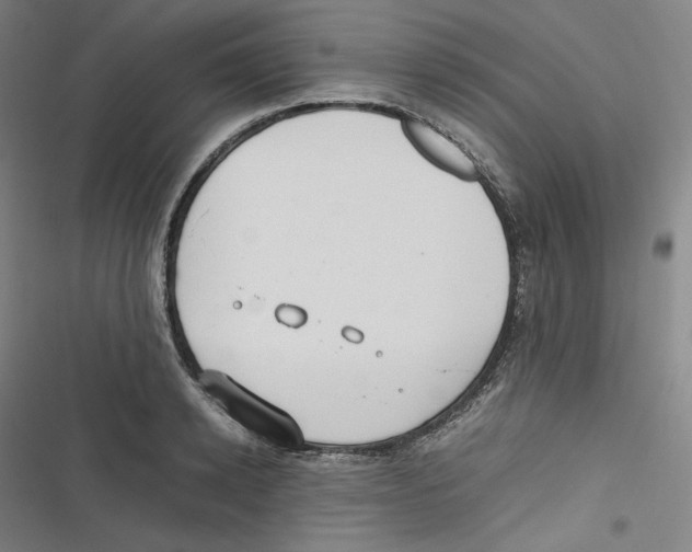 X0000116620942201001081229