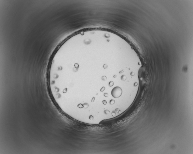 X0000116620943201001081229