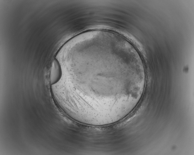 X0000116620945201001081229