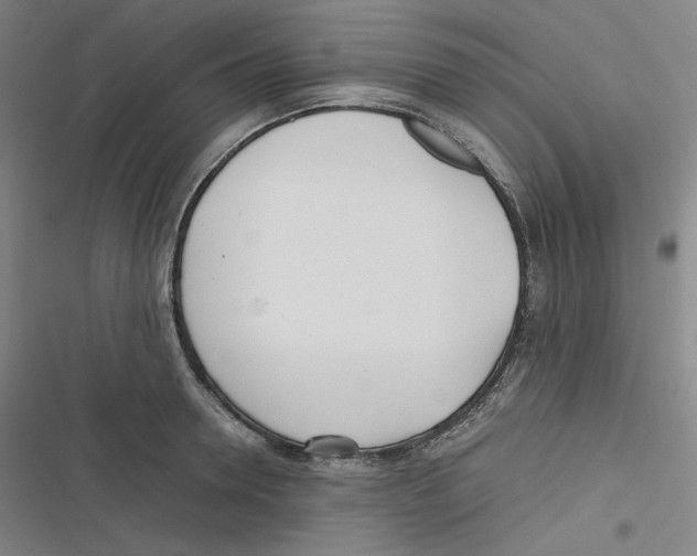 X0000116620946201001081229